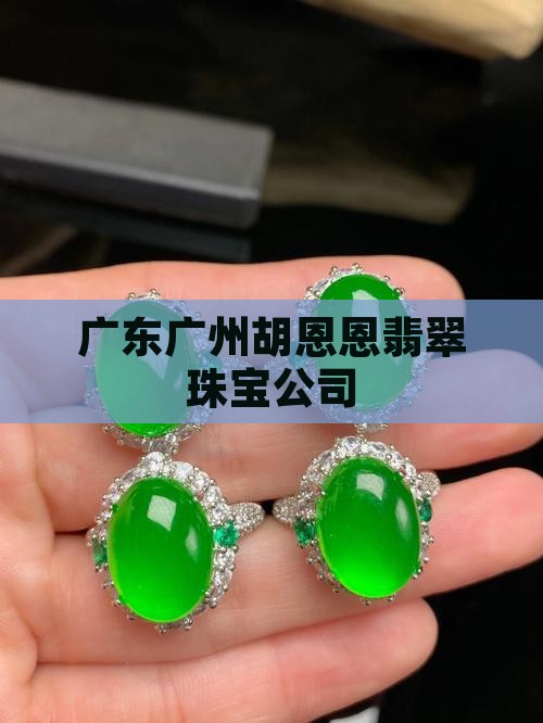 广东广州胡恩恩翡翠珠宝公司