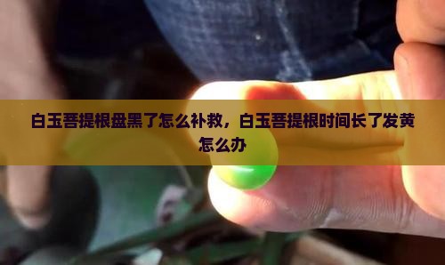 白玉菩提根盘黑了怎么补救
