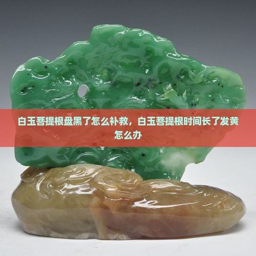 白玉菩提根盘黑了怎么补救