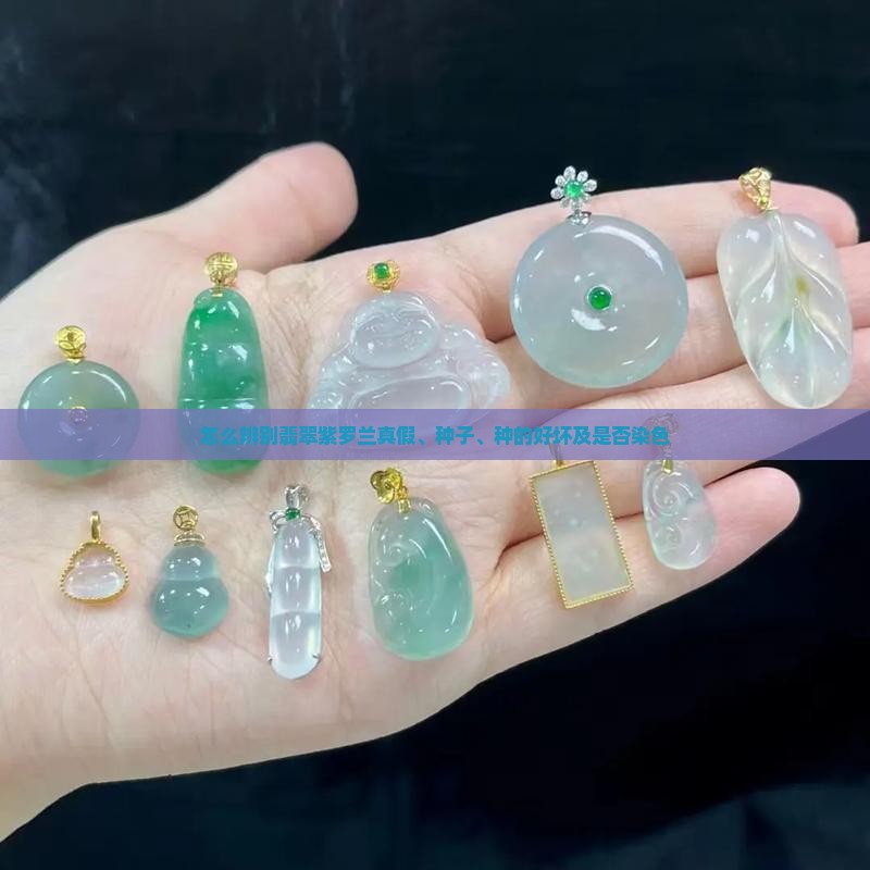 怎么辨别翡翠紫罗兰