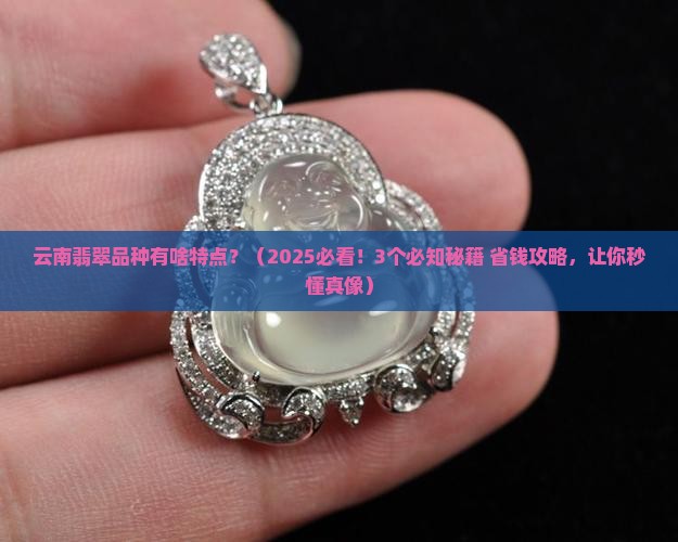 云南翡翠品种有啥特点