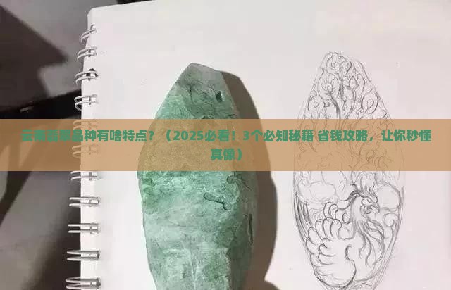 云南翡翠品种有啥特点