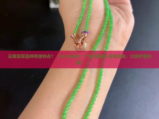 云南翡翠品种有啥特点