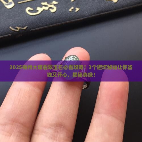 梅州大埔翡翠玉石