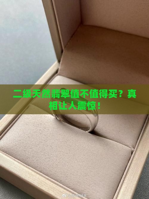 二级天然翡翠