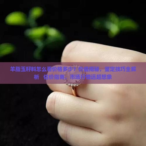 羊脂玉籽料怎么看价格多少