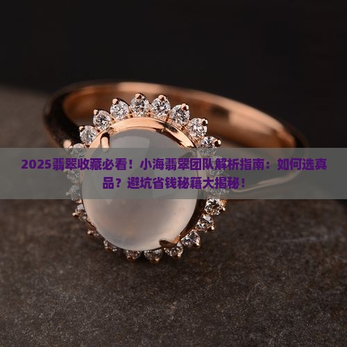 小海翡翠团队