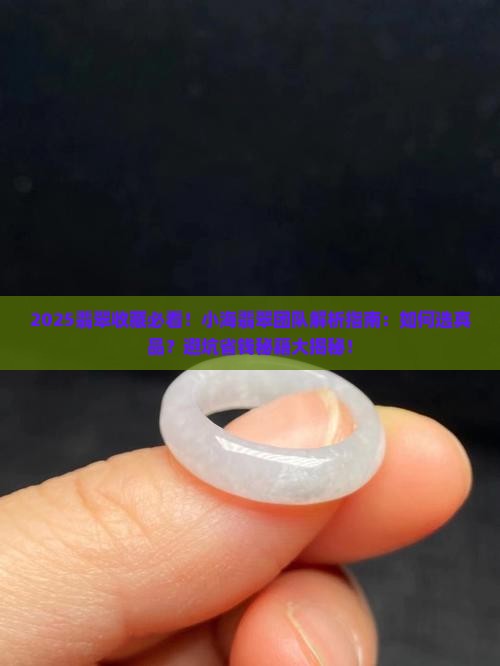 小海翡翠团队