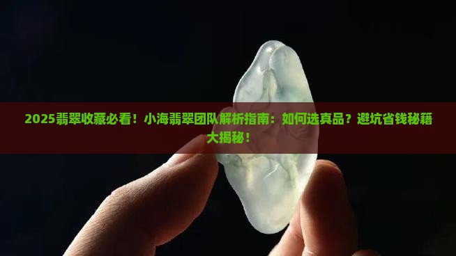 小海翡翠团队