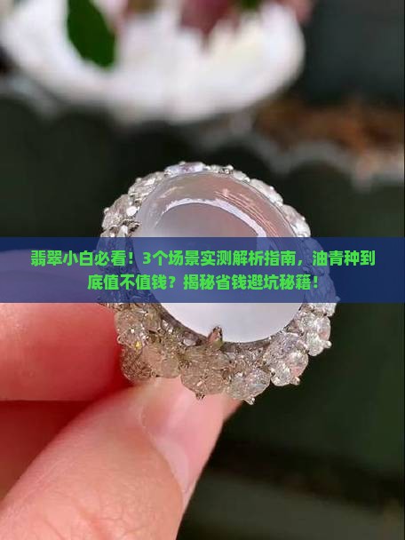 翡翠油青种怎么样