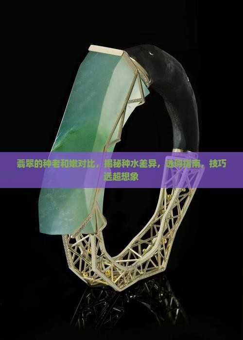 翡翠的种老和嫩对比