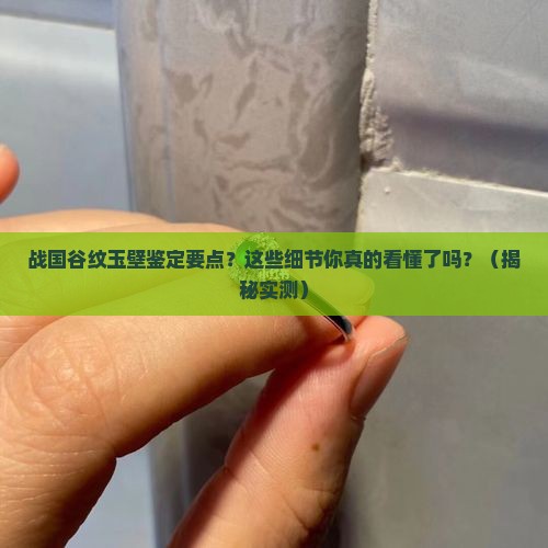 战国谷纹玉壁鉴定要点