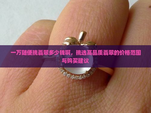 一万随便挑翡翠多少钱啊