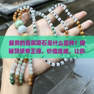 最贵的翡翠原石是什么品种