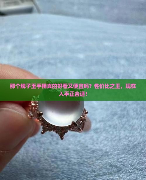 那个牌子玉手镯好看又便宜