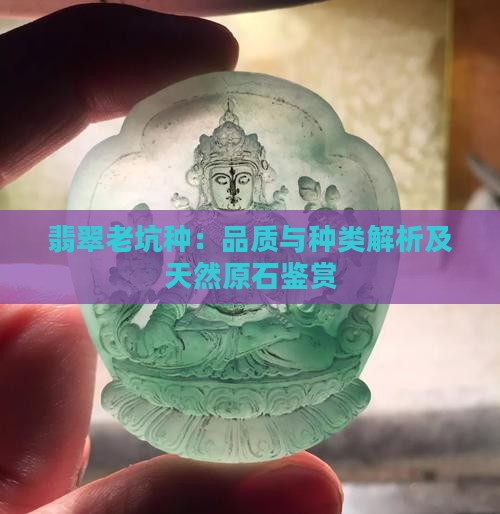 翡翠老坑种：品质与种类解析及天然原石鉴赏