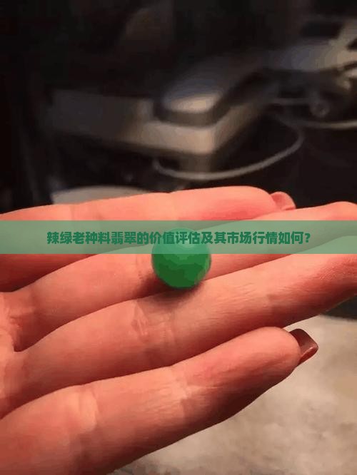 辣绿老种料翡翠的价值评估及其市场行情如何？