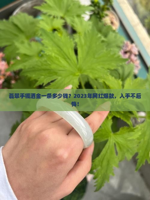 翡翠手镯洒金一条多少钱？2023年网红爆款，入手不后悔！