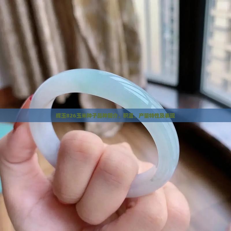 辉玉826玉米种子品种简介、积温、产量特性及表现