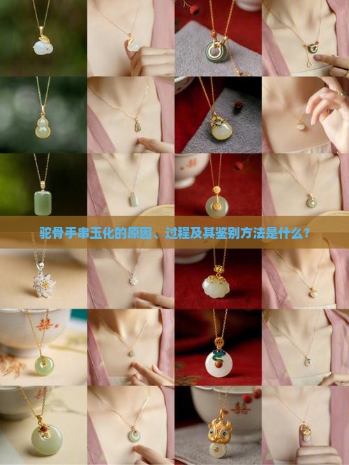 驼骨手串玉化的原因、过程及其鉴别方法是什么？