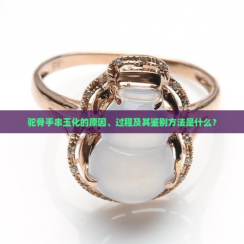驼骨手串玉化的原因、过程及其鉴别方法是什么？