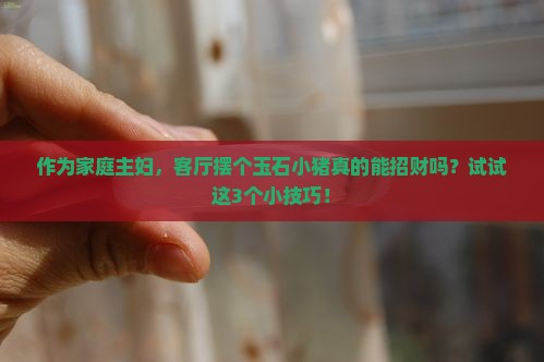 作为家庭主妇，客厅摆个玉石小猪真的能招财吗？试试这3个小技巧！