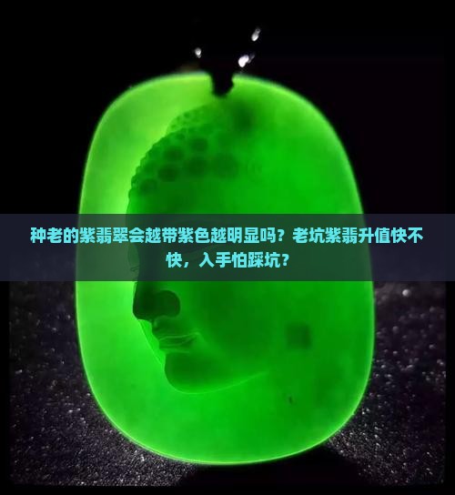 种老的紫翡翠会越带紫色越明显吗？老坑紫翡升值快不快，入手怕踩坑？