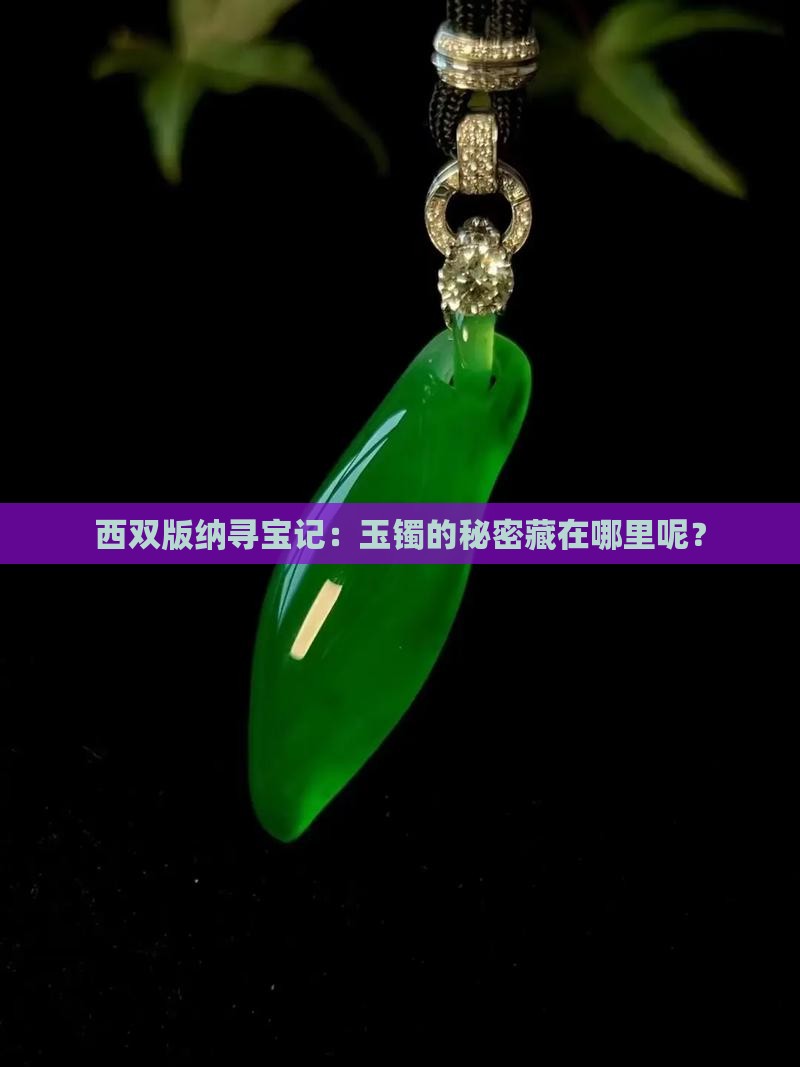西双版纳寻宝记：玉镯的秘密藏在哪里呢？