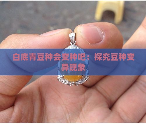 白底青豆种会变种吧：探究豆种变异现象