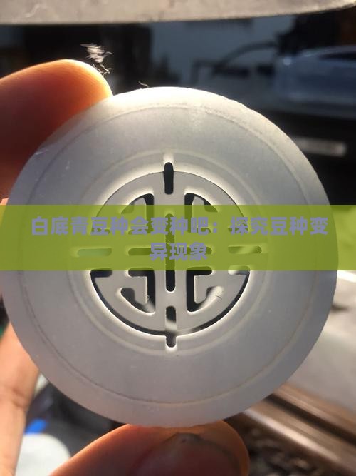 白底青豆种会变种吧：探究豆种变异现象