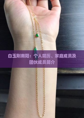 白玉刚南阳：个人简历、家庭成员及团伙成员简介