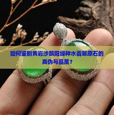 如何鉴别黄岩沙飘阳绿种水翡翠原石的真伪与品质？