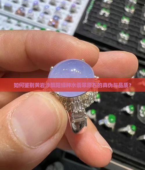 如何鉴别黄岩沙飘阳绿种水翡翠原石的真伪与品质？