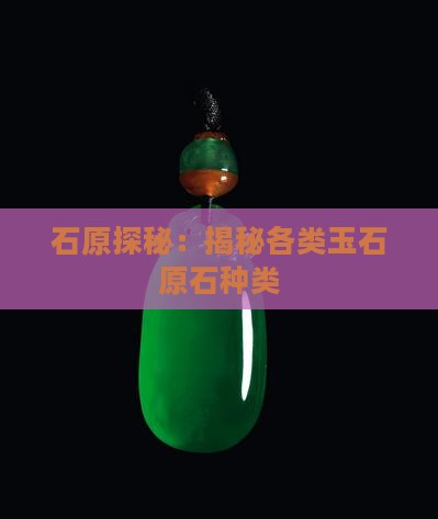 石原探秘：揭秘各类玉石原石种类