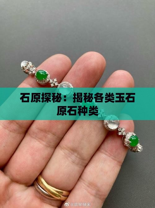 石原探秘：揭秘各类玉石原石种类