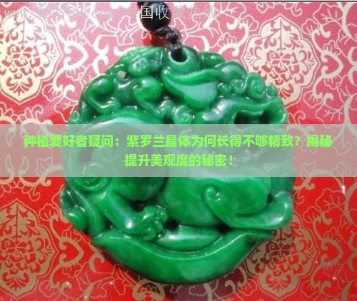 种植爱好者疑问：紫罗兰晶体为何长得不够精致？揭秘提升美观度的秘密！