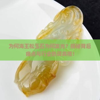 为何海王松玉石为何发光？揭秘背后痛点与行业热词真相！