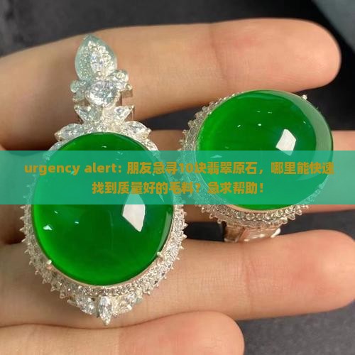  urgency alert: 朋友急寻10块翡翠原石，哪里能快速找到质量好的毛料？急求帮助！