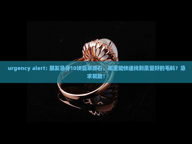  urgency alert: 朋友急寻10块翡翠原石，哪里能快速找到质量好的毛料？急求帮助！