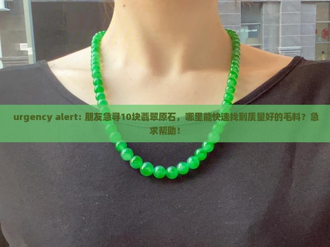  urgency alert: 朋友急寻10块翡翠原石，哪里能快速找到质量好的毛料？急求帮助！