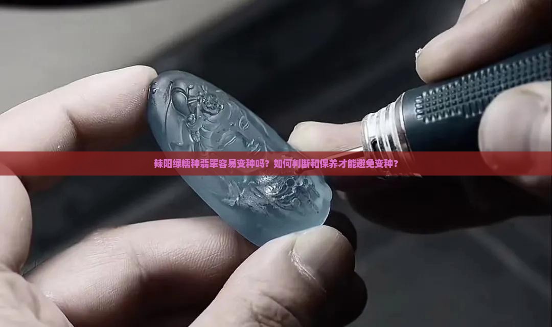 辣阳绿糯种翡翠容易变种吗？如何判断和保养才能避免变种？