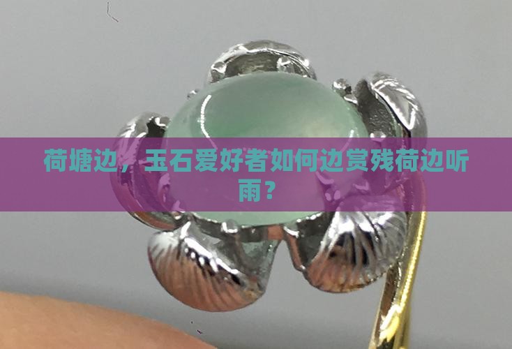 荷塘边，玉石爱好者如何边赏残荷边听雨？