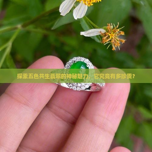 探索五色共生翡翠的神秘魅力，它究竟有多珍贵？