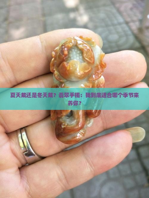 夏天戴还是冬天戴？翡翠手镯：我到底适合哪个季节来养你？
