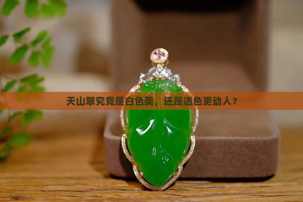 天山翠究竟是白色美，还是透色更动人？