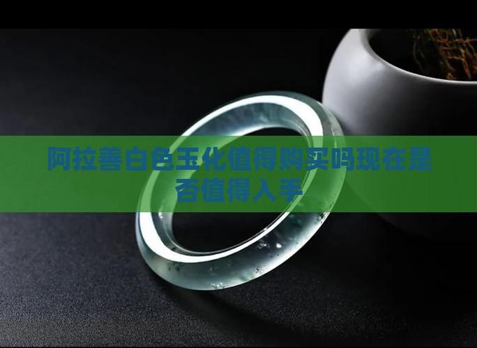 阿拉善白色玉化值得购买吗现在是否值得入手