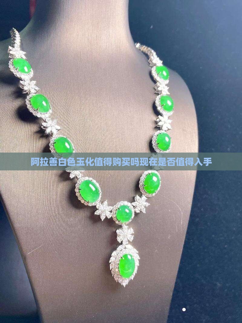 阿拉善白色玉化值得购买吗现在是否值得入手