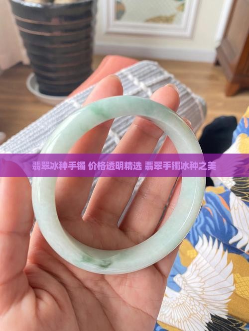 翡翠冰种手镯 价格透明精选 翡翠手镯冰种之美