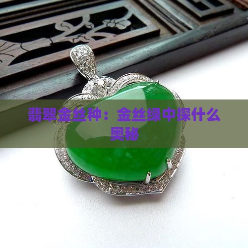 翡翠金丝种：金丝绿中探什么奥秘