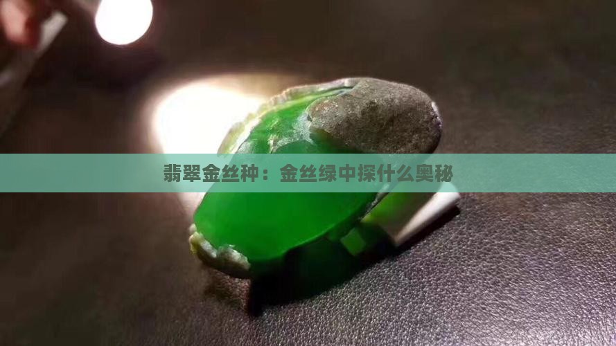 翡翠金丝种：金丝绿中探什么奥秘